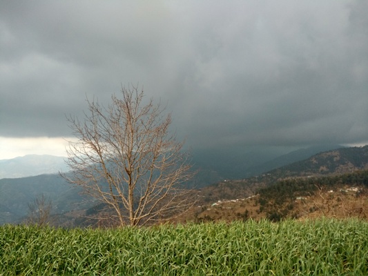 breathtaking view of the churdhar valley from the resort.