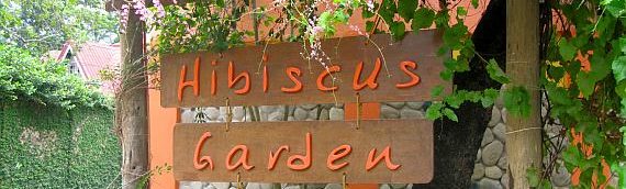hibiscus-garden1