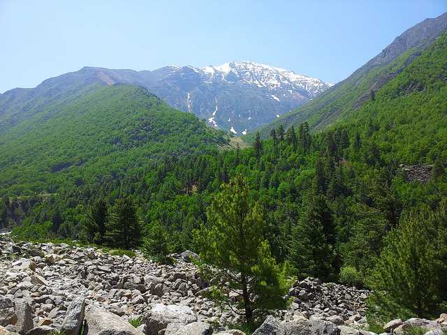  Narkanda trekking in Himachal
