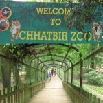 chhatbir-zoo
