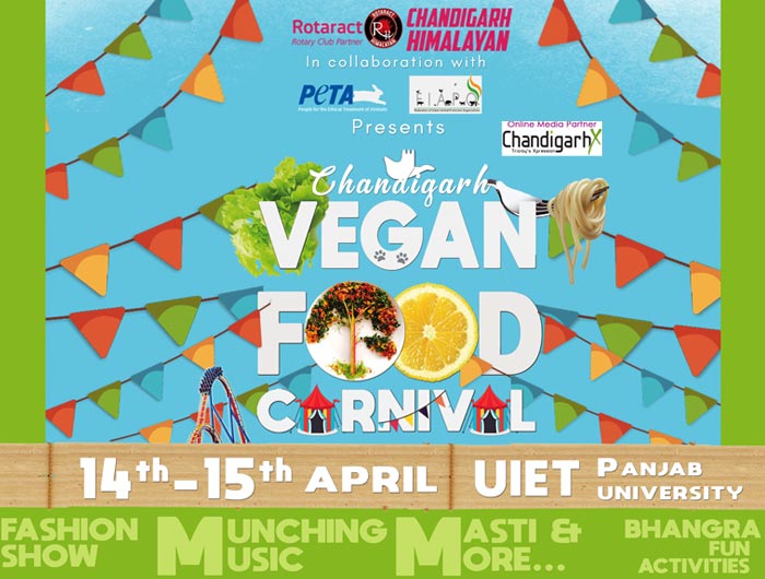 Vegan-Food-Festival
